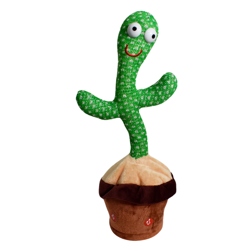 [STC20213588] Cactus Bailarín  